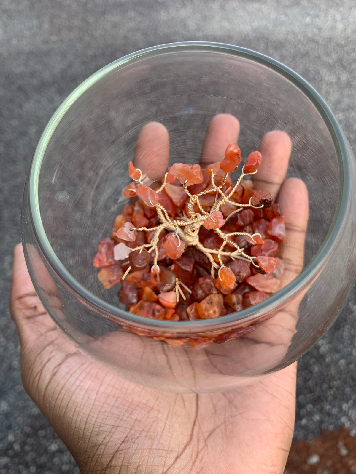 3in Glass bowl / tree of life / carnelian